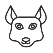Owner has Pet